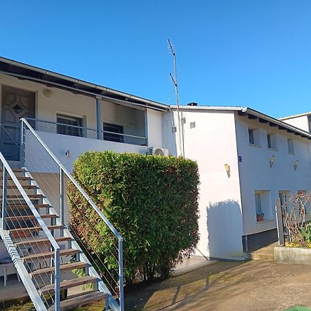 Apartman Sara Rovinj Exterior foto